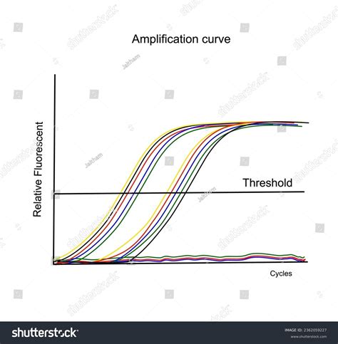 Real-Time PCR Graph 的图像结果