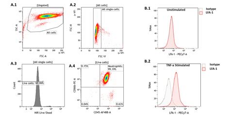 Image result for FACS Analysis Workflow