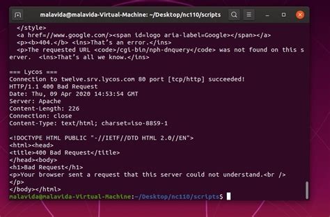 Netcat Download 的图像结果