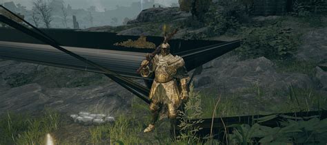 Image result for Tree Sentinel Armor Review