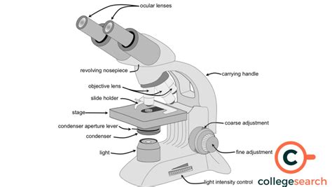 Image result for Simple Microscope Physics