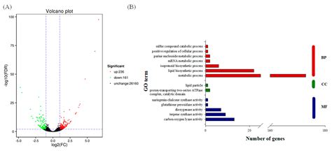 Transcriptomic Characterization of Nitrate-Enhanced Stevioside ...