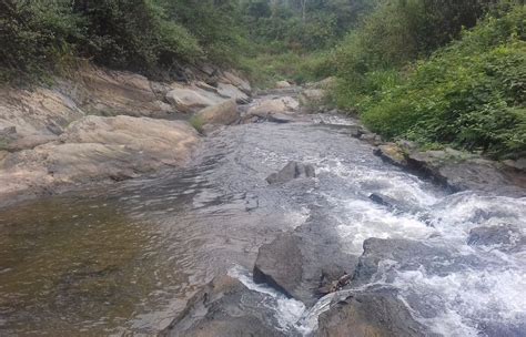 Pointe Noire Tourism (2023): Best of Pointe Noire, Republic of the ...