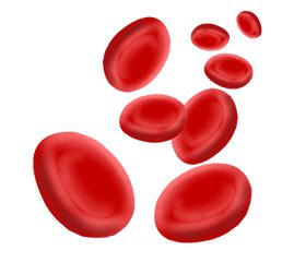 Simira Diagnostics Centre | Pathology Lab & Complete Health Checkups