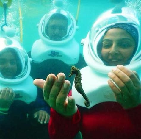 Aqua Adventure (San Juan) - 2022 What to Know Before You Go (with ...