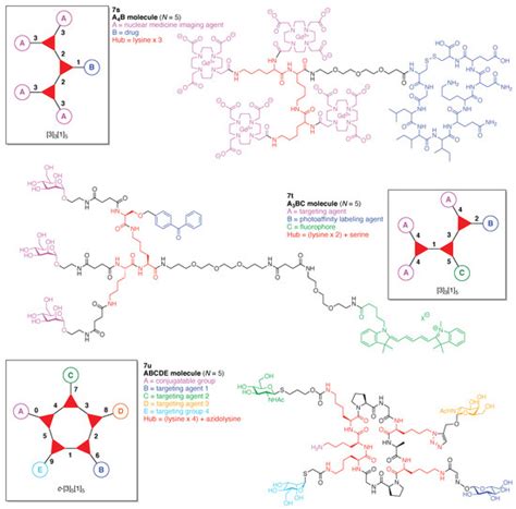 Design, Synthesis, and Utility of Defined Molecular Scaffolds