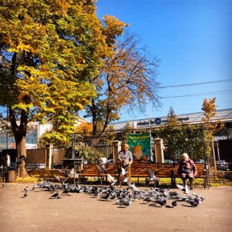 Copou Park, iasi, Romania - Top Attractions, Things to Do & Activities ...