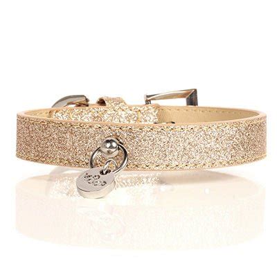 Dog collar belt style – Kanineindia