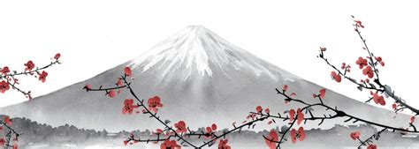 Zenspiration: when Japanese beauty inspires minimalistic formulations ...