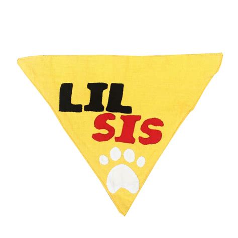 Lana Paws Handmade Lil Sis Slip-On Dog Bandana Scarf : Amazon.in: Pet ...