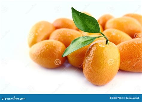 Small Orange Fruit stock image. Image of green, food - 30037603