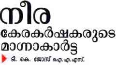 Neera - Coconut Inflorescence Sap, coconut blossom sap, coconut blossom ...