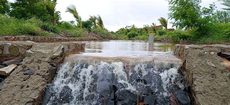 Sustainable Water Management for Irrigation at Organo Antharam