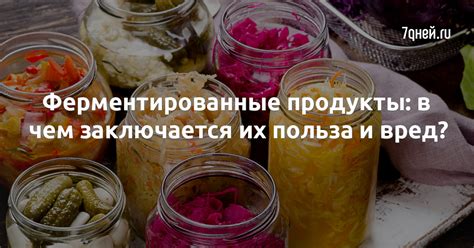 Ферментированные продукты: в чем заключается их польза и вред? - 7Дней.ру