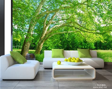试试用绿色的沙发点亮你的客厅！