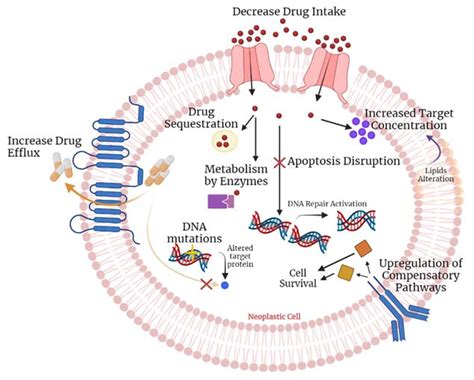 Drug Repurposing in Cancer Therapy: Influence of Patient’s Genetic ...
