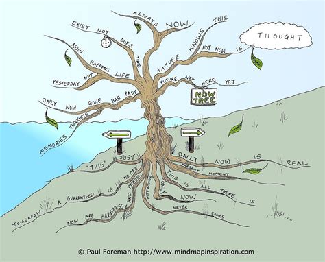 Mind Map Tree Cartoon 的图像结果