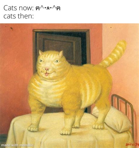 Cats, am I right fellas? : r/memes