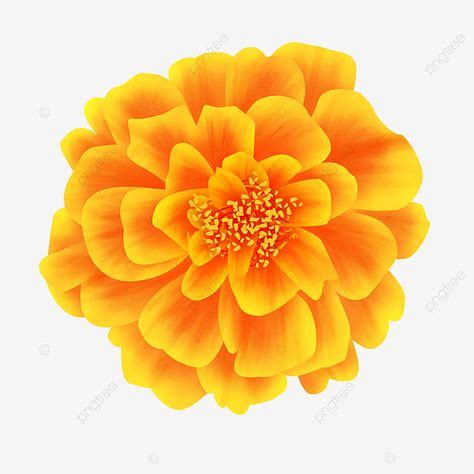 Image result for Basic Android Interface