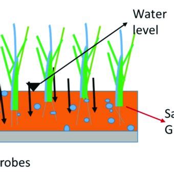 Image result for Basic Subsurface Flow PPT