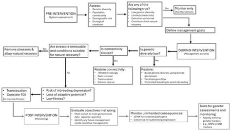 Diversity | Special Issue : Genetic Diversity and Evolutionary ...