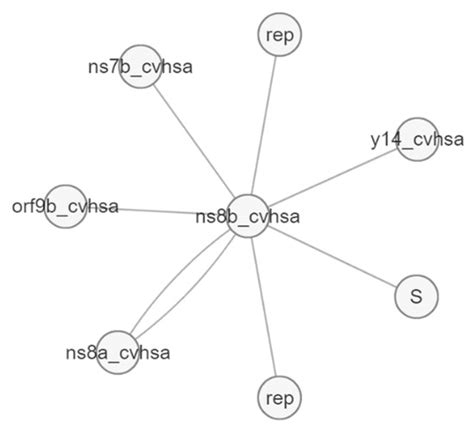 Potential Therapeutic Target and Vaccines for SARS-CoV-2