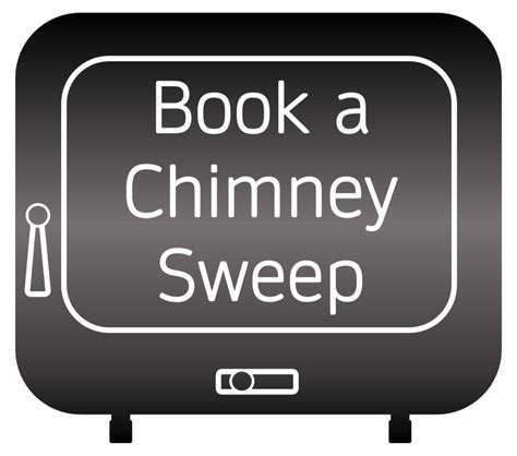 Image result for PureVision Log Burner Using