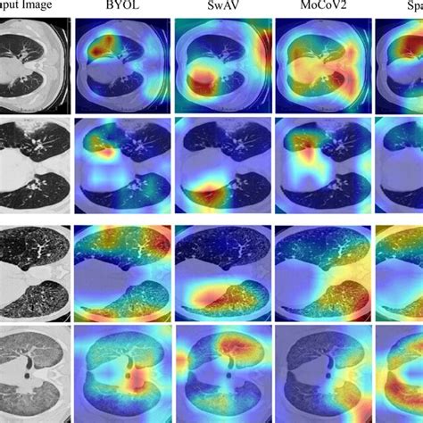 Image result for Grad Cam Example