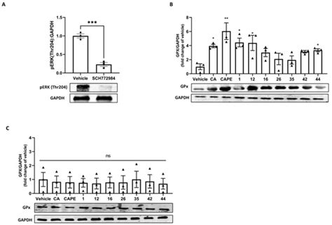 Applied Sciences | Special Issue : Bioactive Compounds from Natural ...