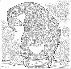 ausmalbilder kostenlos ausdrucken mandala papagei mandala ausmalbilder zum ausdrucken parrot mandala ausmalbilder kostenlos ausdrucken mandala papagei mandala ausmalbilder zum ausdrucken parrot mandala