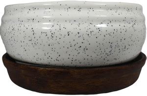 Lasaki Bowl with Tray Plate Ceramic Pots for Indoor Plants,Planters ...