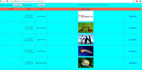 Show Image in GridView From Database 的图像结果