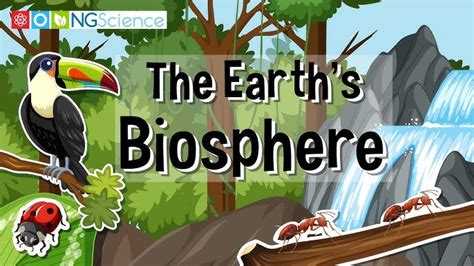 Biosphere Examples 的图像结果