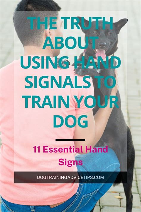Image result for Common Hand Signals for Dogs Sheet