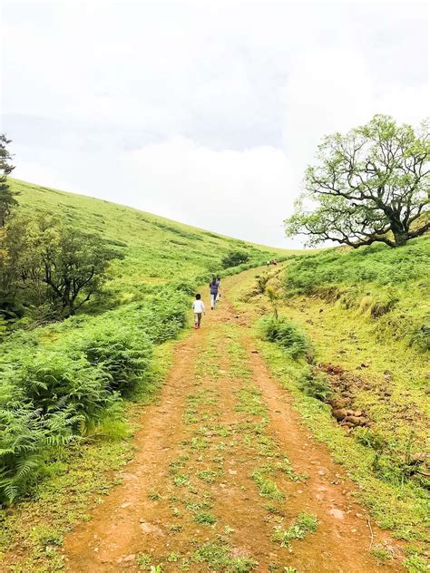 Kaanana Homestay Sakleshpur - Resorts Sakleshpur