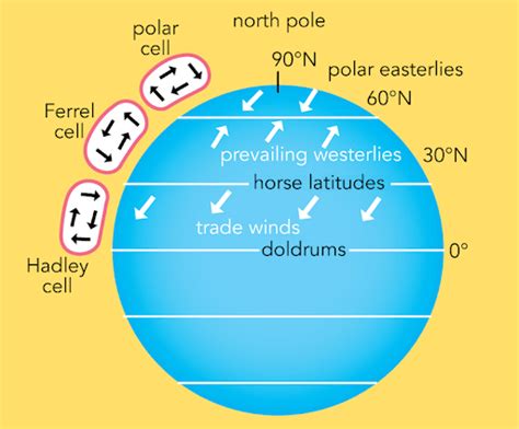 Polar Easterlies - Geography Notes