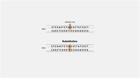 Image result for Base pair Structure