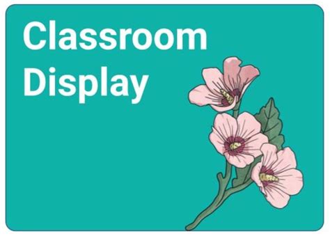 South Korea Teaching Resources | Twinkl Resources