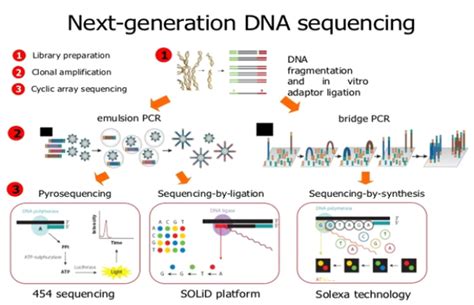 Image result for Genome Sequencing Technology