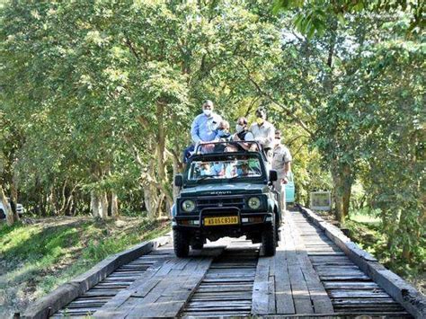 Economic stress - Assam's Kaziranga National Park reopens after 7 ...