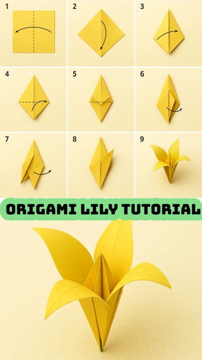 Origami Lily Tutorial 的图像结果
