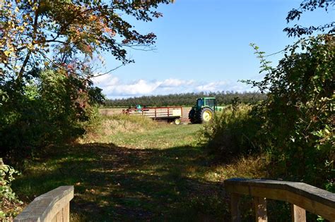 Manalapan Tourism (2024): All You Need to Know Before You Go