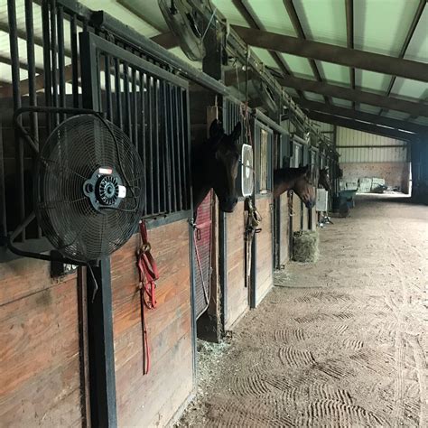 What's The Best Horse Barn Flooring: Stalls, Aisles, Tack Room