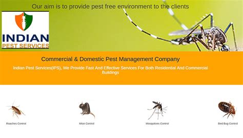 Pest Control Services in Bangalore
