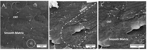 Effect of Carbon Nanotubes (CNT) Functionalization and Maleic Anhydride ...