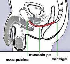 come durare di pi 249 a letto 7 tecniche e 3 esercizi per come durare di pi 249 a letto 7 tecniche e 3 esercizi per