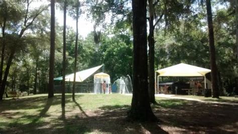 Whispering Pines Park (Inverness) - 2020 What to Know Before You Go ...