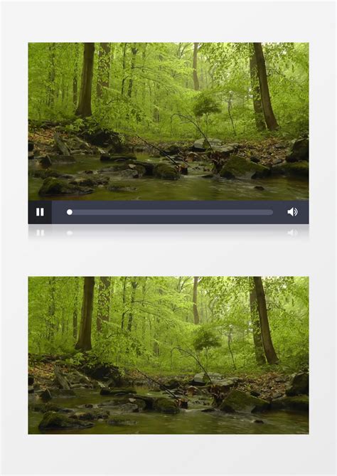 高清实拍树林里潺潺的流水实拍视频素材模板下载_实拍_图客巴巴