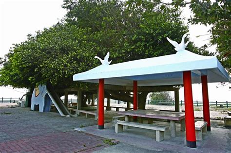 Dacheng Tourism (2024): All You Need to Know Before You Go