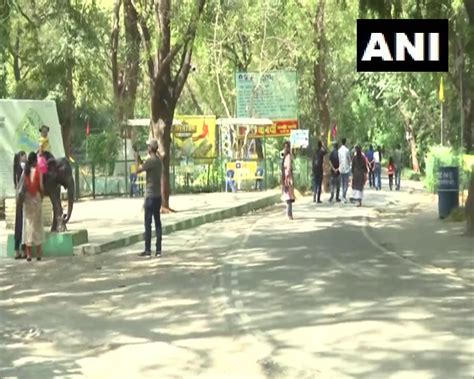 UP man's Sarus crane 'friend' reaches Kanpur zoo, quarantined